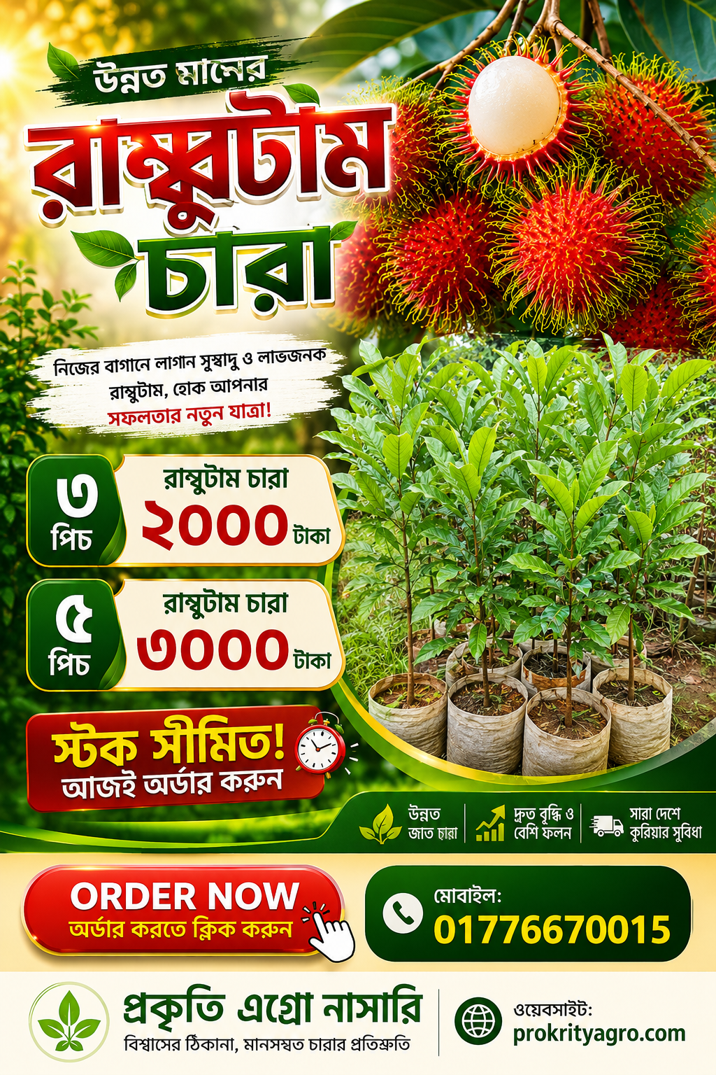 উন্নত জাতের রামবুটান চারা — প্রকৃতি এগ্রো নার্সারি - Image 2