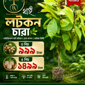 থাই লটকন