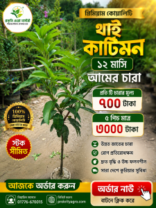 ১২ মাসে আমের স্বাদ—নিজের বাগানেই!