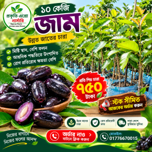 ১০ কেজি জাম