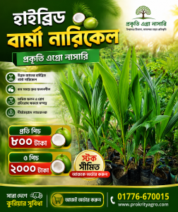 সঠিক পরিচর্যায় ২ বছরেই ফলন পাওয়ার সম্ভাবনা 🌱🥥